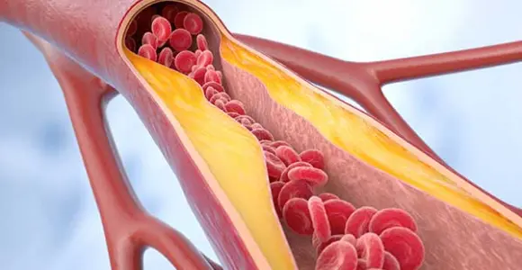 Flow of stem cells