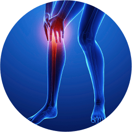Knee joint illustration for regenerative treatment
