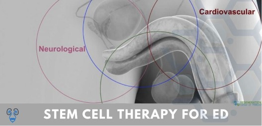 Stem Cell Treatment for Sexual Dysfunction: Safe, Natural, and Effective