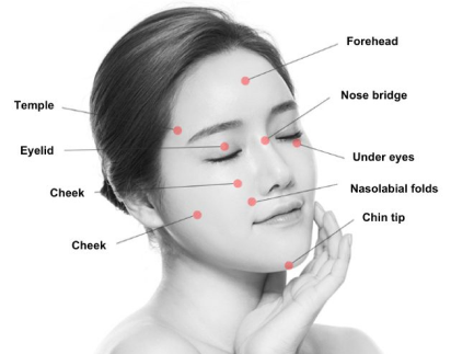 labelling different parts of beautiful female face