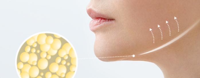 icon indicating fat in the part of face