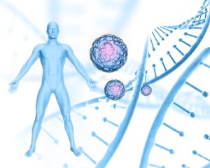 Stem Cell Therapy
