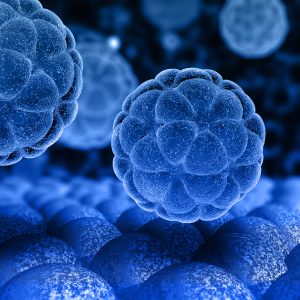 stem cell therapy neurodegenerative conditions